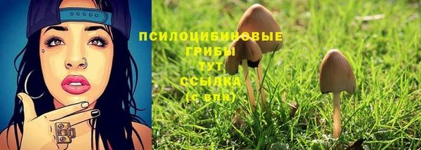 трава Осташков